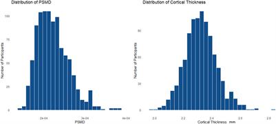 Association of Age and Structural Brain Changes With Functional Connectivity and Executive Function in a Middle-Aged to Older Population-Based Cohort